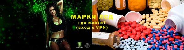 дмт Арсеньев