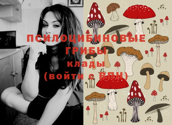 марки lsd Аркадак