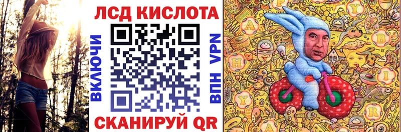Наркотические марки 1,8мг дарнет шоп Сураж