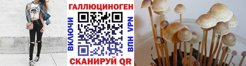 где купить наркоту  hydra ссылки  Галлюциногенные грибы Magic Shrooms  Сураж 